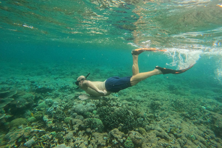 Labuan Bajo: Komodo Tour by Speedboat & Wooden Boat