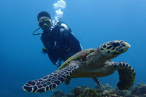 From Manila: Beginner's Scuba Diving Experience