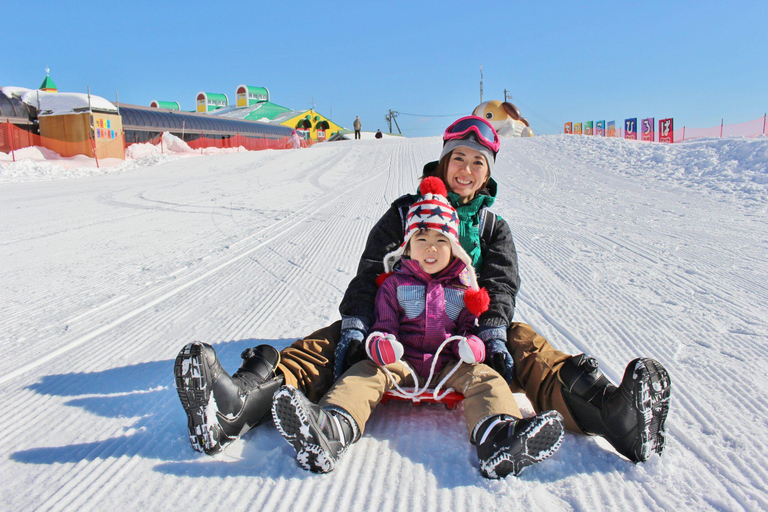 Nagoya: Takasu Snow Park Ski & Snowboard Day Trip Nagoya : Include bus fare & admission to "YUKINOS"