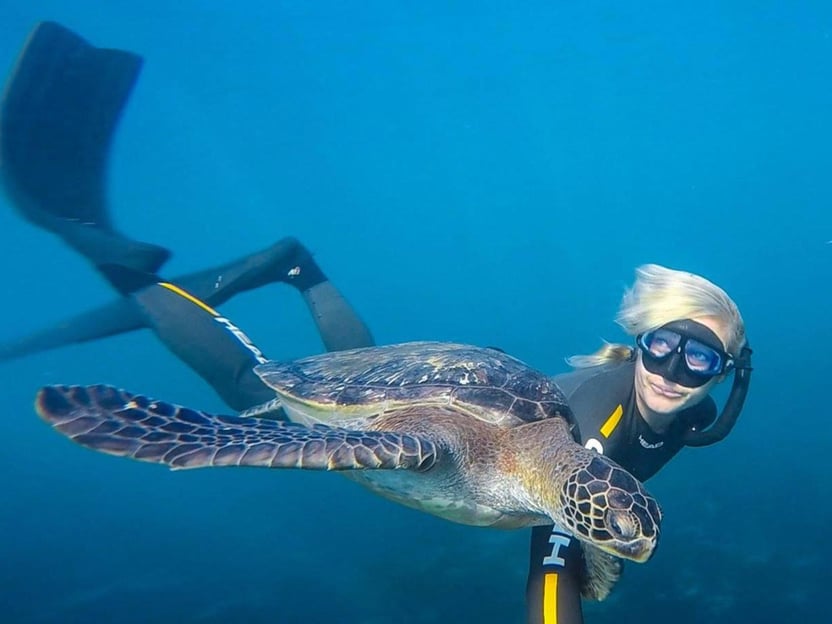 San Diego: La Jolla Cove Guided Snorkeling Tour