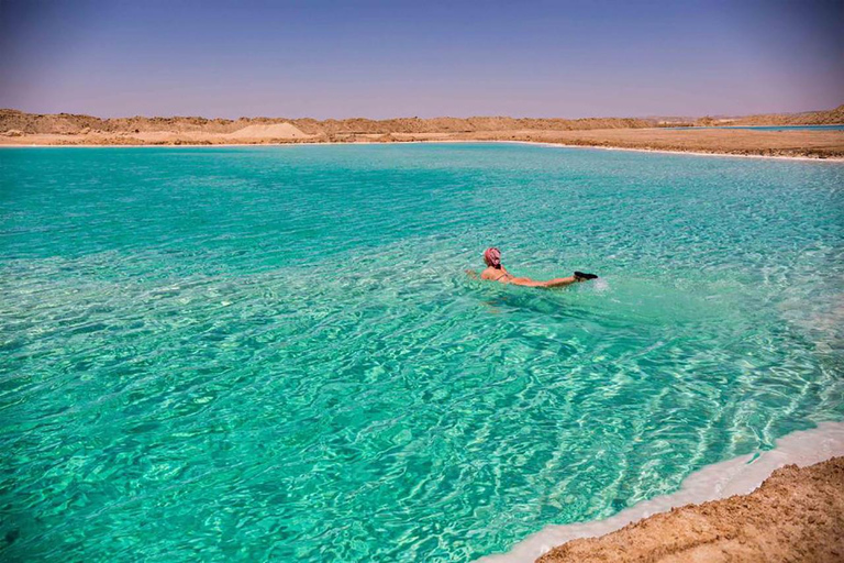 El Cairo: Oasis de Siwa y Fortaleza de Shali Excursión de 3 días con todo incluido