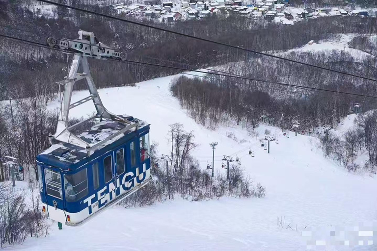 Sapporo: Otaru Day Trip-Mt. Tengu & Aquarium in small group start from Sapporo station