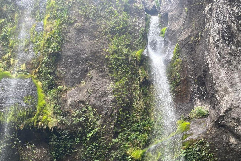Lautoka: Abaca Waterfall Hike and Swim Day Trip