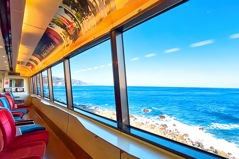 Small Group Day Tour:Omuro Mountain & the Izu Scenic Railway Hotel Transfer Option