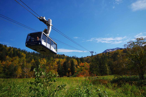 Explore Hokkaido: Penguins, Ramen & Scenic Ropeway Ride