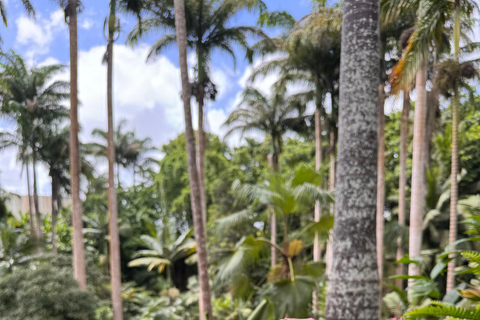 Barbados: Hunte's Gardens Transport and Entry Ticket