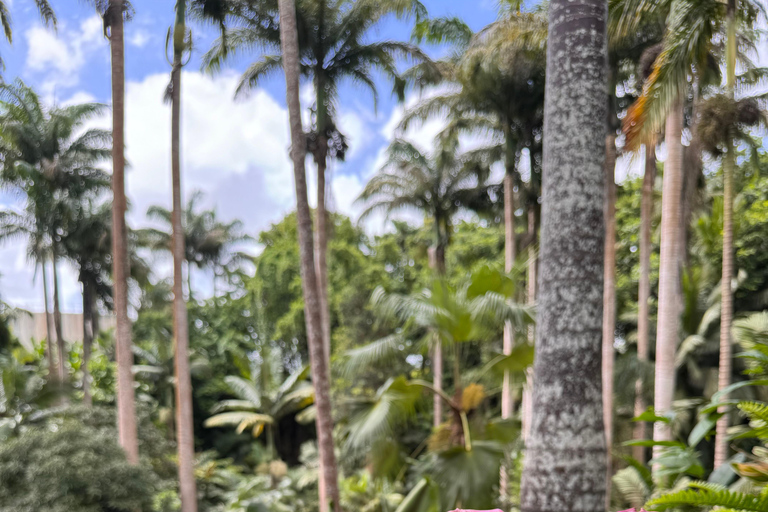 Barbados: Hunte's Gardens Transport and Entry Ticket