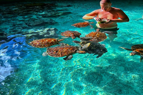 ZANZIBAR:PRIVATE SALAM CAVE TURTLES & MTENDE SECRET BEACH