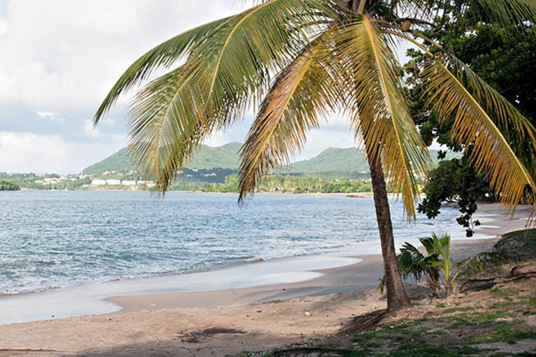 St. Lucia: Landausflug nach Castries City &amp; StrandpicknickSt. Lucia: Stadtrundfahrt durch Castries und Strandpicknick