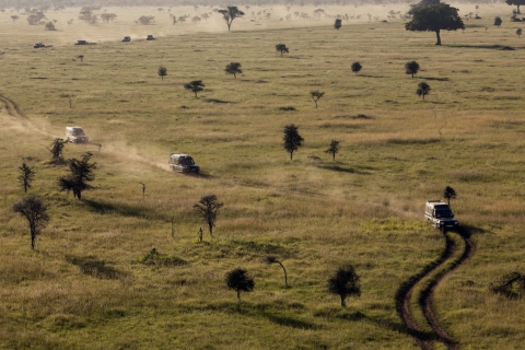 13-daagse safari in de wildernis van Gorilla, Masai Mara en Serengeti