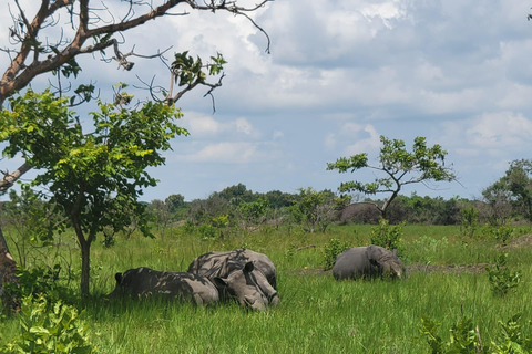 From Kampala: Ziwa Rhino Sanctuary Day Tour with Lunch