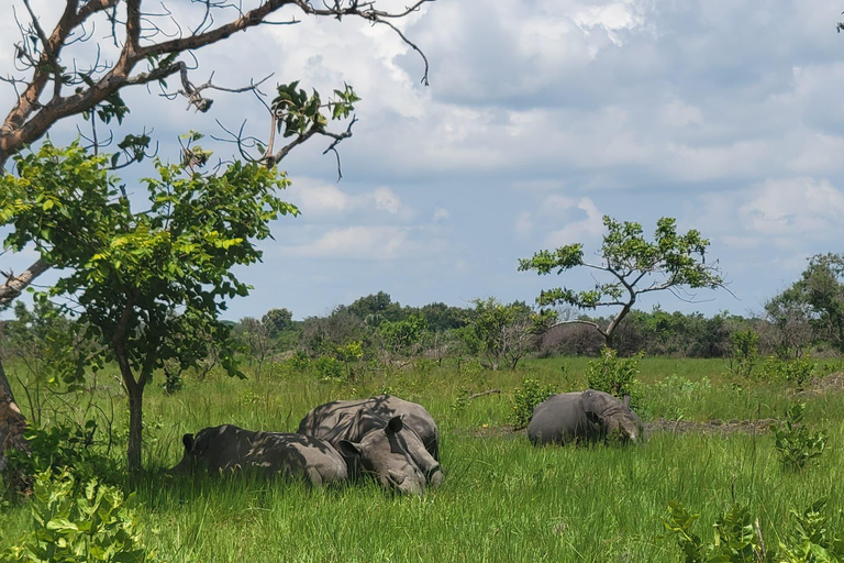 From Kampala: Ziwa Rhino Sanctuary Day Tour with Lunch
