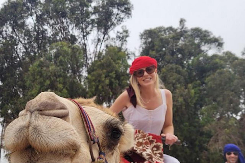 Agadir Camel Ride &amp; Flamingo River + Souk &amp; Moroccan Tea