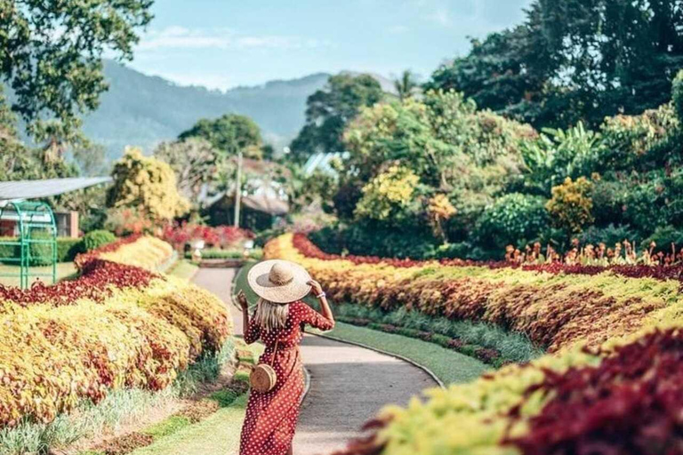Kandy: Temple of Tooth, Train Ride, & Cave Waterfall Tour