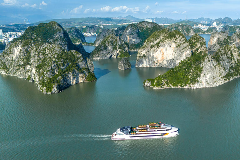 Hanoi: Dolphin 5-Star Family Cruise & Buffet in Ha Long Bay With Pick-up and Drop-off
