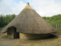 ౧/1 Day TALA Juego reservado y tarifas Safari Park de - Housity