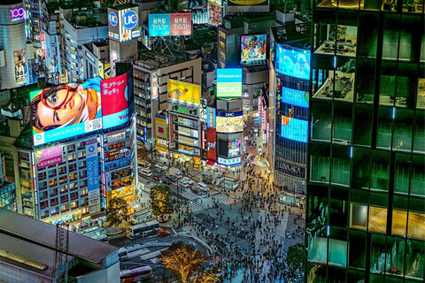 Tokyo: Private Luxury Day Tour with Hotel Pickup and DropOff