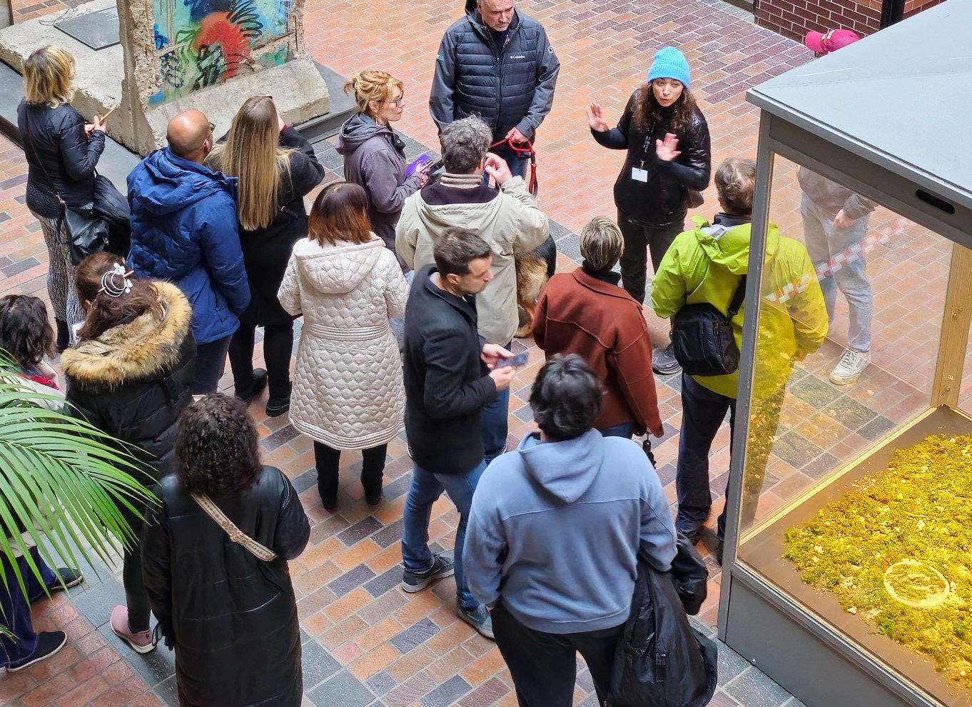 Montreal: RESO, undergrundsbyen og centrum – tur i lille gruppe