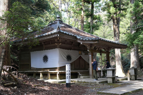 Kyoto Customisable Private Tour with a Local Guide