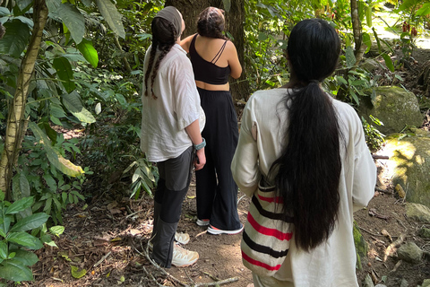 Parco Tayrona 2 giorni e 1 notte. Un percorso ancestrale.