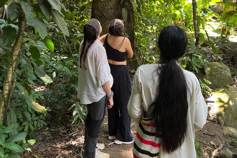 Parco Tayrona 2 giorni e 1 notte. Un percorso ancestrale.