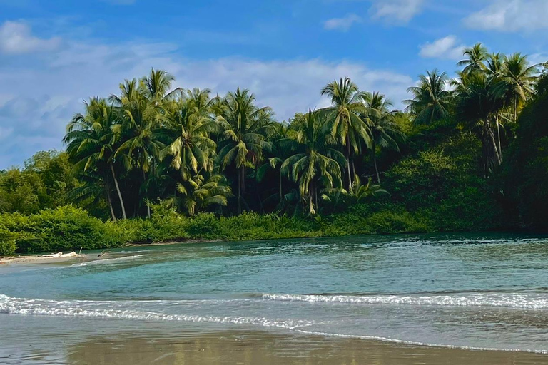 Percussive Massage Therapy + Assisted Stretching on beach