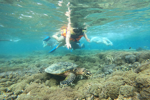 Lombok: Snorkeling Trip to The Best Two Gilis From Lombok