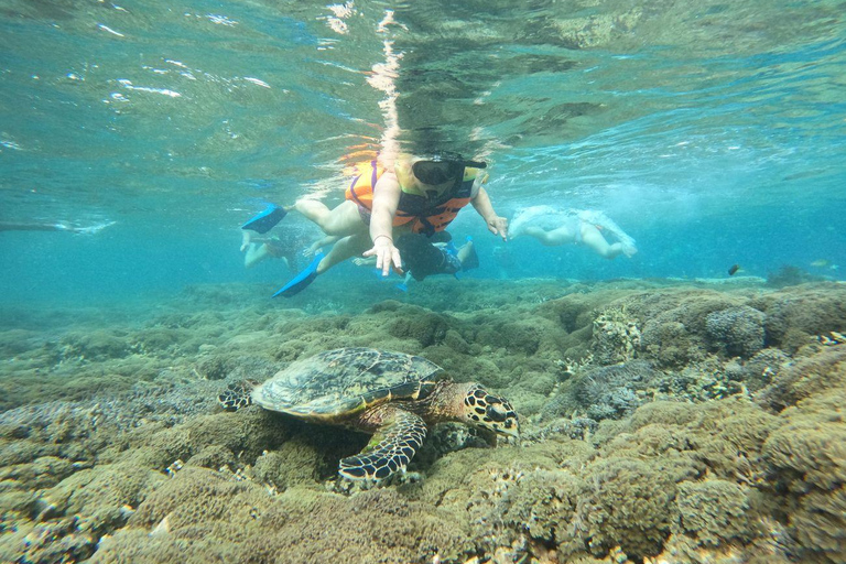 Lombok: Snorkeling Trip to The Best Two Gilis From Lombok