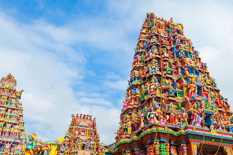 From Colombo: 8-Day Ramayana Tour in Sri Lanka