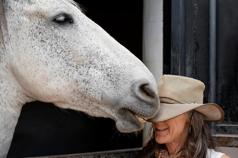 Montego Bay: Private Horseback Ride & Swim + Transport