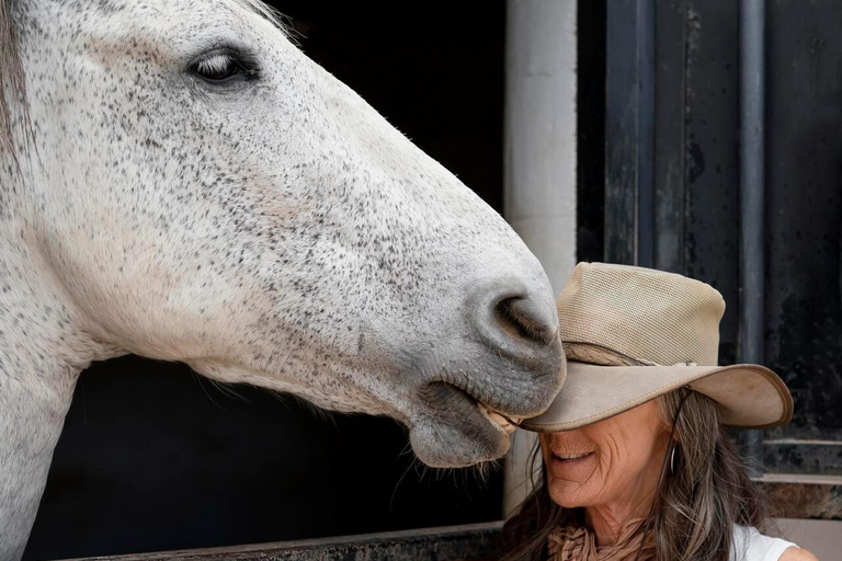 Montego Bay: Private Horseback Ride & Swim + Transport