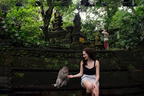 Bali: Monkey Forest, Waterfall, Swing & Beratan Lake Temple Private Tour Without Entrance Tickets