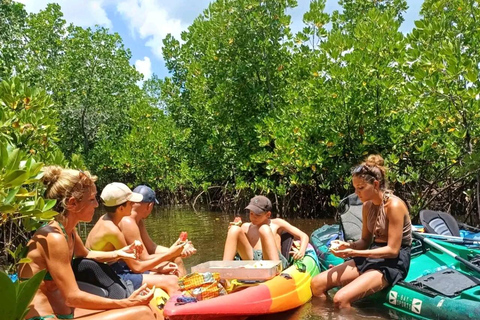 UZI ISLAND MANGROVE CONSAVATION WITH KAYAK TOUR PRIVATE TOUR WITH TRANSFER INCLUDED