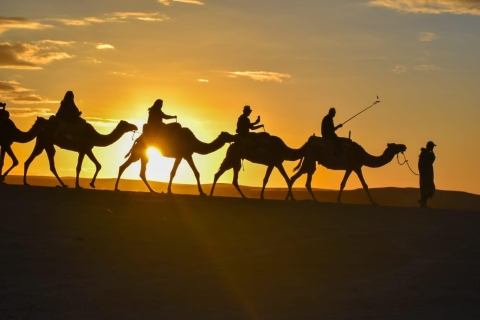 Dîner sous les étoiles dans le désert d'Agafay, coucher de soleil à dos de chameau
