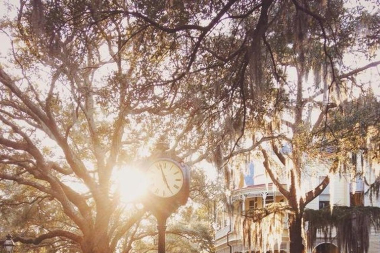 Charleston : Best Street Food Tour With A Local Guide Charleston : 3 Hours Small Group Food Tasting Walking Tour