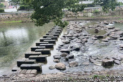 Shanghai: Fuyang Bayberry Picking & Ancient Town Day Trip
