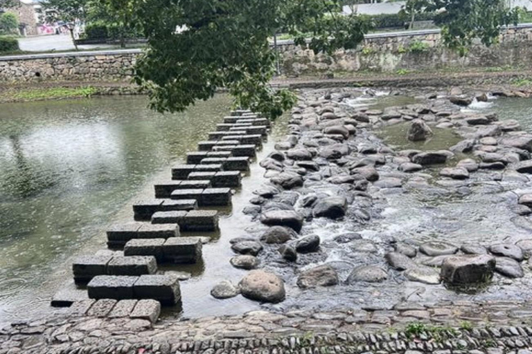 Shanghai: Fuyang Bayberry Picking & Ancient Town Day Trip