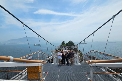 Un completo tour en grupo reducido por Busan con un guía titulado