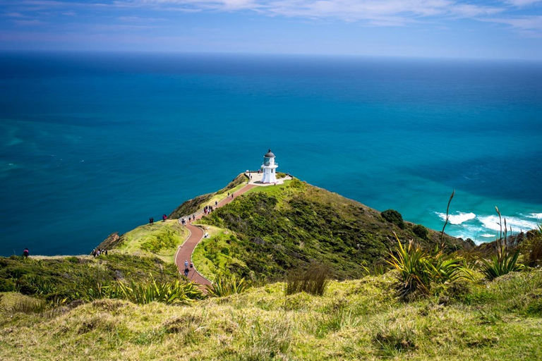 Cabo Reinga: excursión de un día desde Paihia, Kerikeri o Kaitaia