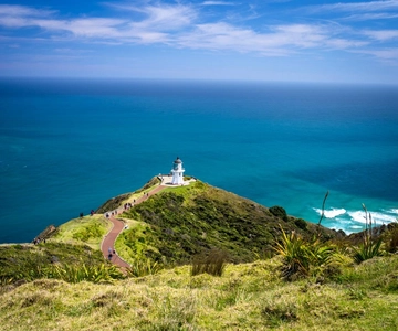 Cape Reinga: Day Trip from Paihia, Kerikeri, or Kaitaia