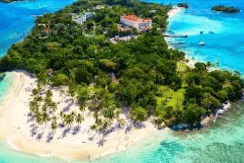 From Punta Cana: Samaná Bay Whale Watching & Waterfall Tour