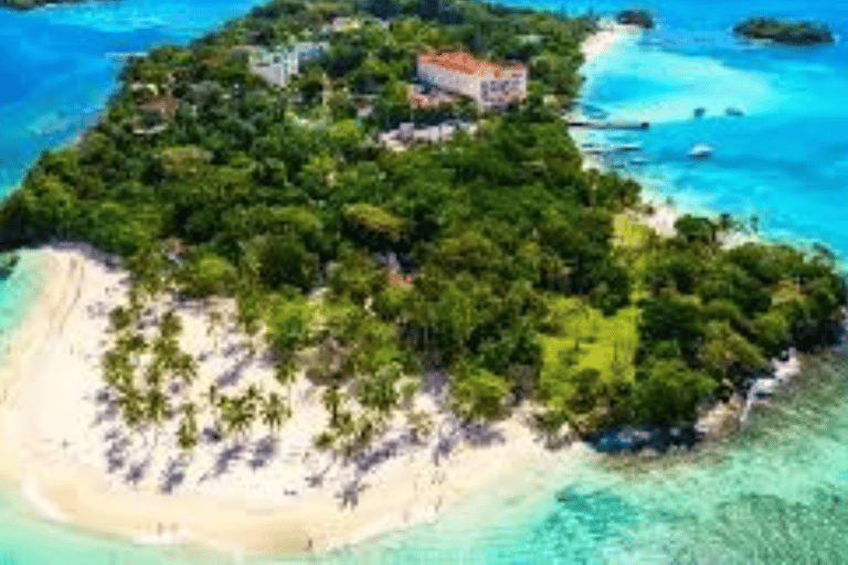 From Punta Cana: Samaná Bay Whale Watching & Waterfall Tour