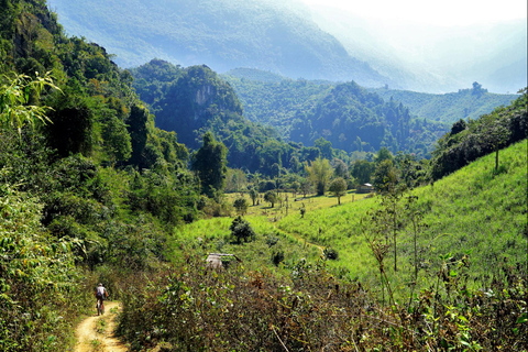 Luang Prabang: E-Mountainbike Tour with Waterfall & Lunch