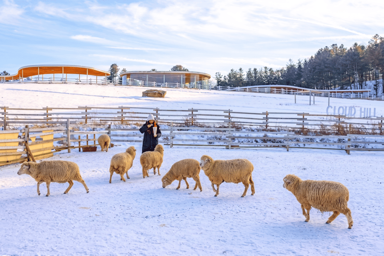 Eobi Valley, Sledding, Strawberry Picking, and Sheep Ranch Group Tour, meet at Hongik University Station