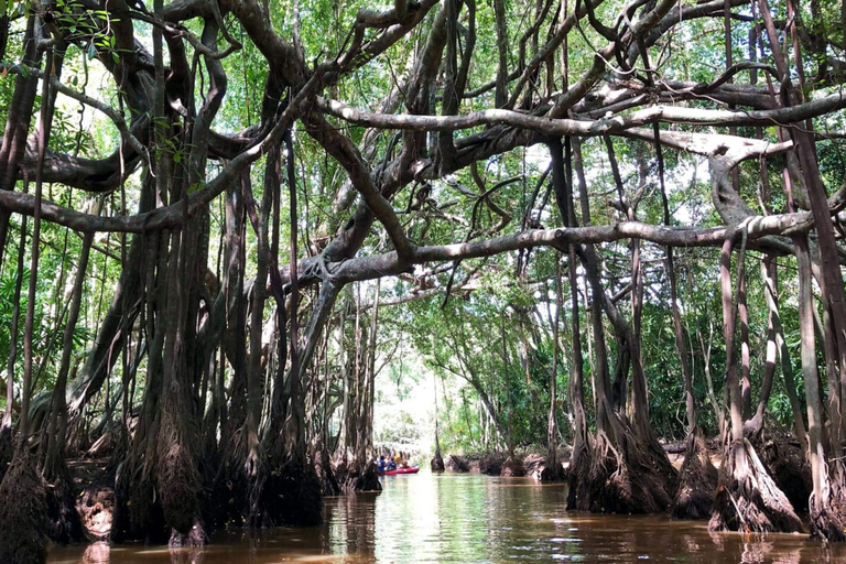 Khao Lak Hidden Gems - (Canoes, Turtles, and Temples)