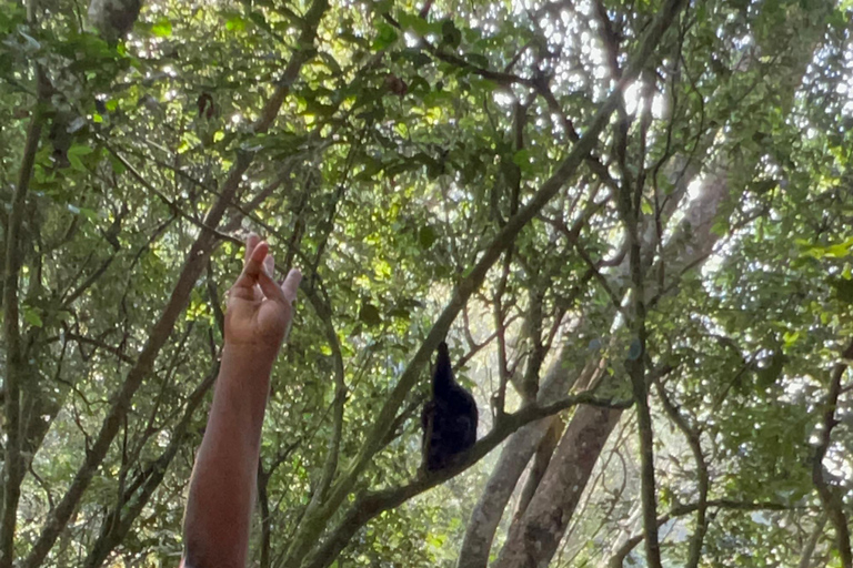 Excursion d&#039;une journée au lac Bunyonyi et dans la forêt de Kalinzu pour un trekking avec les chimpanzés