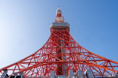 Your PERFECT Tokyo Day - Custom Private Tour by Awarded Team 4 hours Private Vehicle