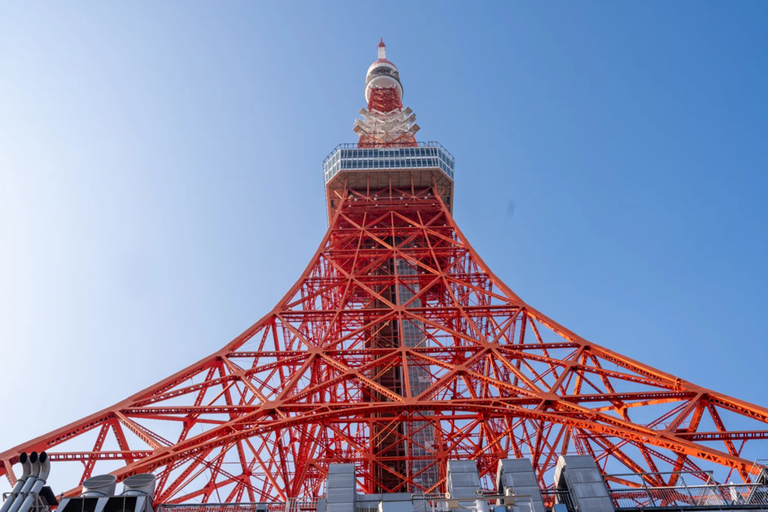 Your PERFECT Tokyo Day - Custom Private Tour by Awarded Team 4 hours Private Vehicle