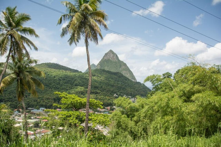 St. Lucia: Soufriere Vulkan ErlebnisPrivate Tour (bis zu 4 Teilnehmer)