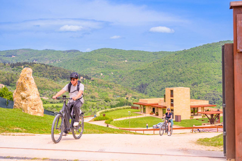 Florença: Fiesole E-Bike Tour com prova de azeite